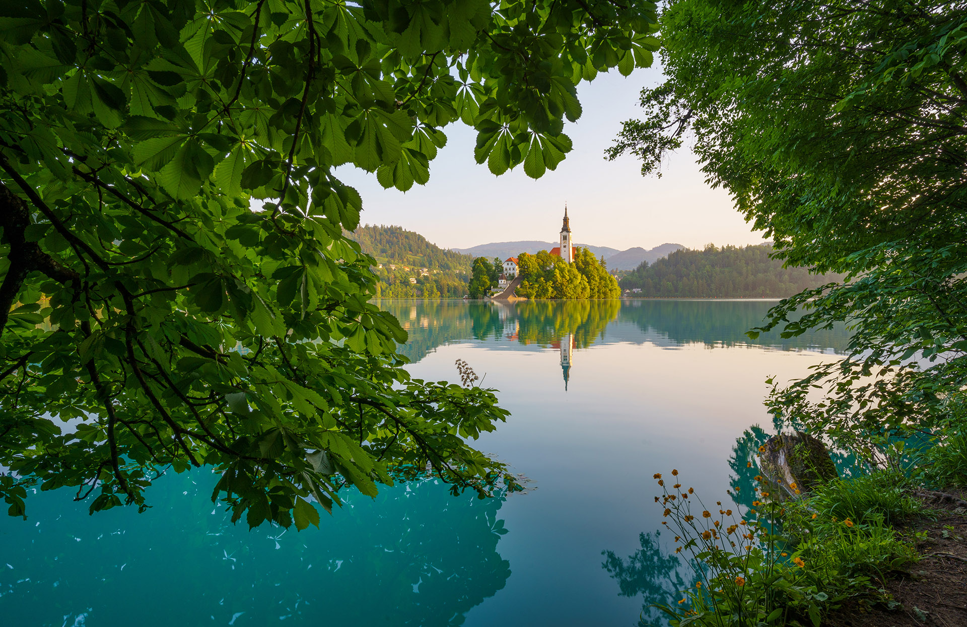 Sunrise by the Bled lake